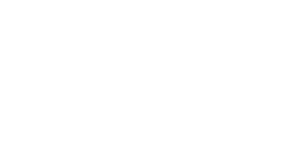 Wells Capital Group Logo – Reverse